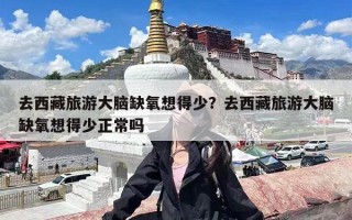 去西藏旅游大脑缺氧想得少？去西藏旅游大脑缺氧想得少正常吗