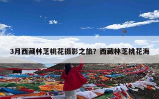 3月西藏林芝桃花摄影之旅？西藏林芝桃花海