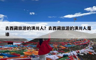 去西藏旅游的潢川人？去西藏旅游的潢川人是谁