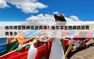 哈尔滨至西藏旅游费用？哈尔滨至西藏旅游费用多少