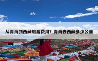 从青海到西藏旅游费用？青海去西藏多少公里