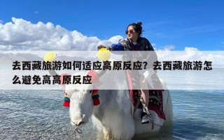 去西藏旅游如何适应高原反应？去西藏旅游怎么避免高高原反应