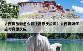 去西藏旅游怎么解决高原反应呢？去西藏如何应对高原反应