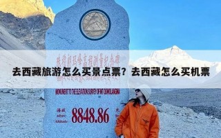 去西藏旅游怎么买景点票？去西藏怎么买机票