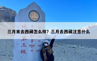 三月末去西藏怎么样？三月去西藏注意什么