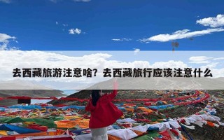 去西藏旅游注意啥？去西藏旅行应该注意什么