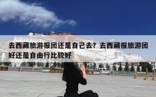 去西藏旅游报团还是自己去？去西藏报旅游团好还是自由行比较好