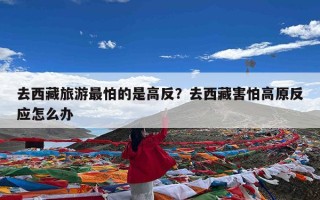 去西藏旅游最怕的是高反？去西藏害怕高原反应怎么办