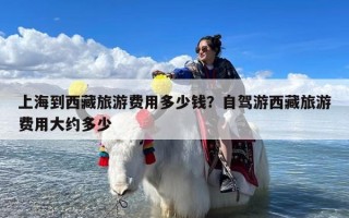 上海到西藏旅游费用多少钱？自驾游西藏旅游费用大约多少