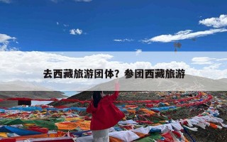 去西藏旅游团体？参团西藏旅游