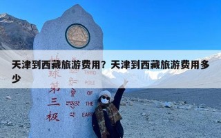 天津到西藏旅游费用？天津到西藏旅游费用多少